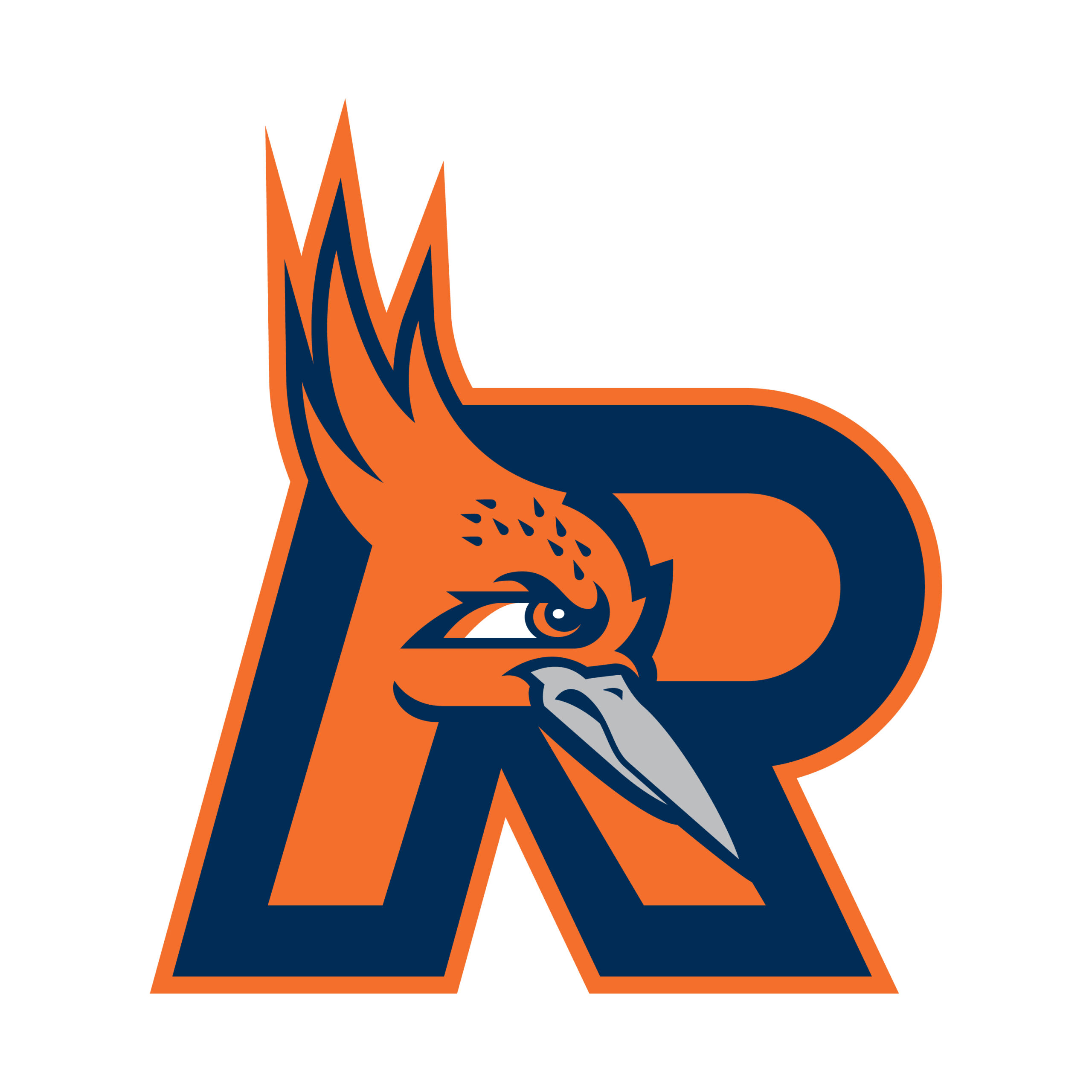 RRunner_TiltedBirdFaceOnR RRunner_TiltedBirdFaceOnR